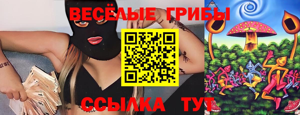 Галлюциногенные грибы Psilocybine cubensis Ликино-Дулёво